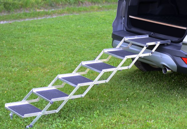 Hundetreppe 5 Tritte (+) hergestellt in der Schweiz