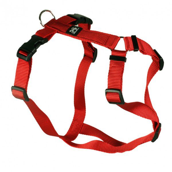 Feltmann Hundegeschirr XXL Band 4cm