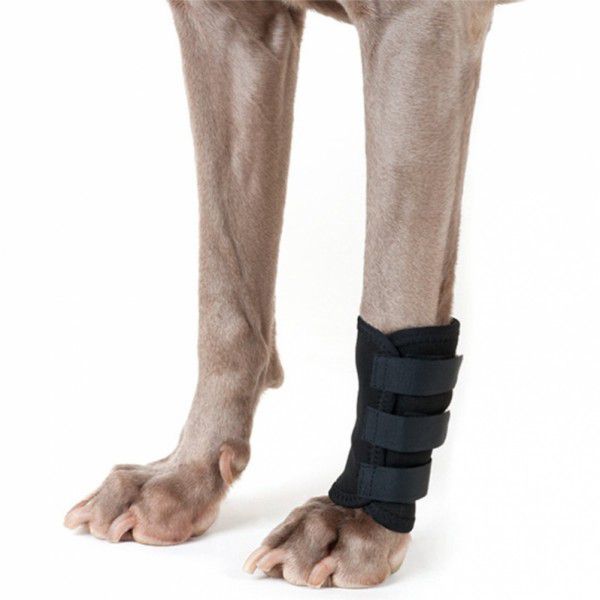 Gelenkschoner (Back on Track)